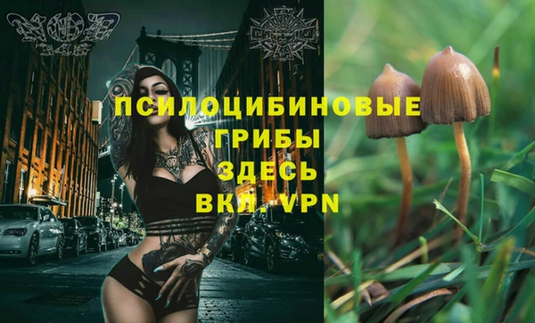 mdma Богданович