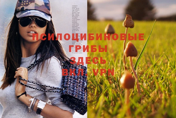 меф Богородицк